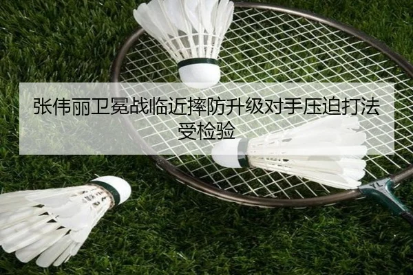 张伟丽卫冕战临近摔防升级对手压迫打法受检验 | kaiyun